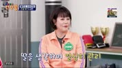 미리보기 이미지