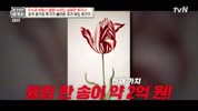 미리보기 이미지