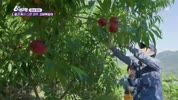 미리보기 이미지