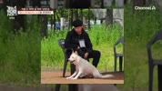 미리보기 이미지
