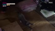 미리보기 이미지