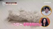 미리보기 이미지
