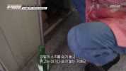 미리보기 이미지