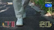 미리보기 이미지