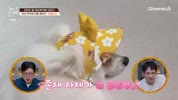 미리보기 이미지