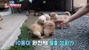 미리보기 이미지