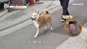 미리보기 이미지