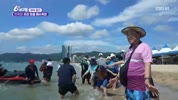 미리보기 이미지