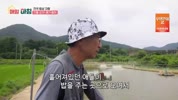 미리보기 이미지