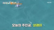 미리보기 이미지