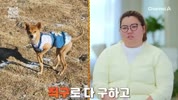 미리보기 이미지