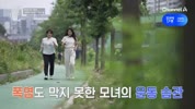 미리보기 이미지