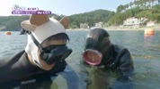 미리보기 이미지