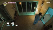 미리보기 이미지