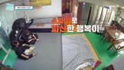 미리보기 이미지