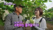 미리보기 이미지