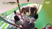 미리보기 이미지