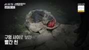 미리보기 이미지