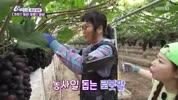 미리보기 이미지