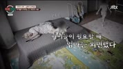 미리보기 이미지